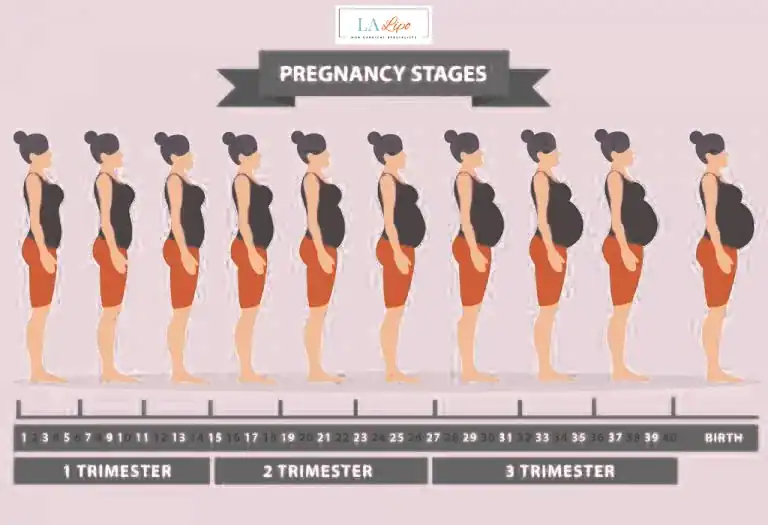 First Trimester (Weeks 1–12): Early Changes You Might Not Notice Newcastle upon Tyne